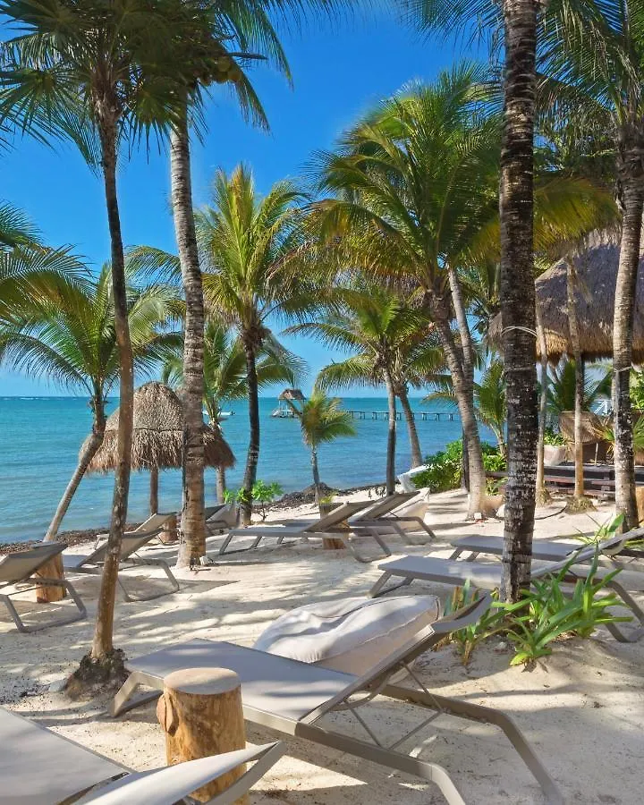 8 Bedroom Luxury Villa With Private Chef Included Tulum