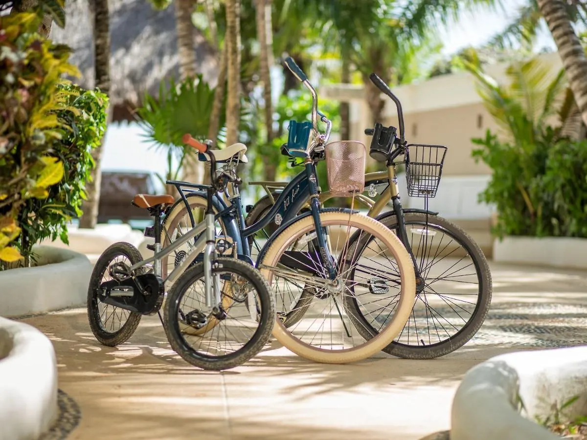 8 Bedroom Luxury Villa With Private Chef Included Tulum