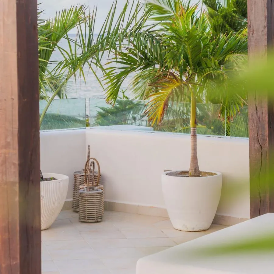 8 Bedroom Luxury Villa With Private Chef Included Tulum Mexico